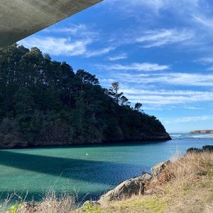 Meet your Posher, Joanna